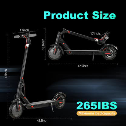 HT01 36V Electric Bike for Adults – 250W Motor